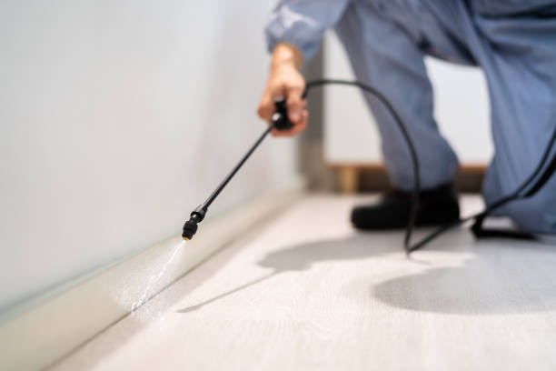Bed Bug Pre-Treatment Preparation Assessment in Glade Spring