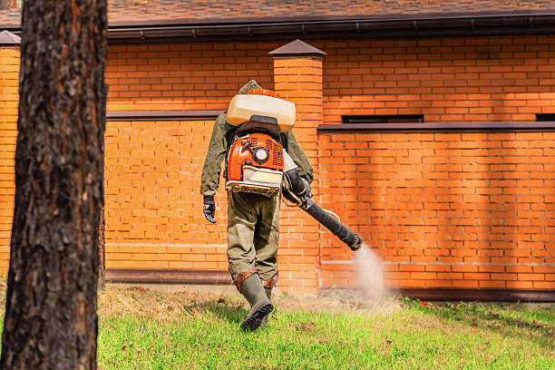 Bed Bug Clearance Verification and Documentation in Glade Spring